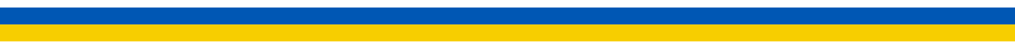 Separateur drapeau Ukraine