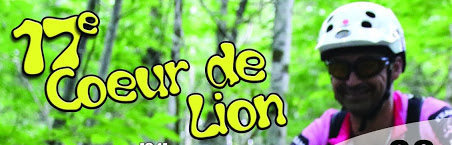 17_eme_Coeur_de_Lion_Bandeau